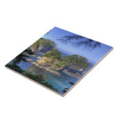 Seastacks, Makah Nation Tribal Lands, Cape Tegeltje (Zijkant)