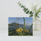 Seastrand Senecio, Unalaska Island Briefkaart (Staand voorkant)