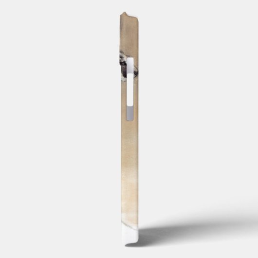 Seated Caracal 2009 Case-Mate iPhone Case (Achterkant / Links)