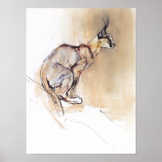 Seated Caracal 2009 Poster (Voorkant)