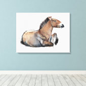 Seated Przewalski 2011 Canvas Afdruk (Insitu (Houten vloer))