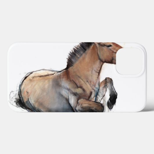 Seated Przewalski 2011 Case-Mate iPhone Case (Achterkant (horizontaal))