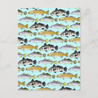 Seatrout en trommelpatroon in blauw briefkaart