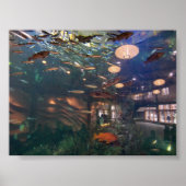 Seattle Aquarium Poster (Voorkant)