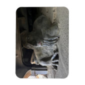 Seattle Fremont Troll #1 Magnet Magneet (Verticaal)