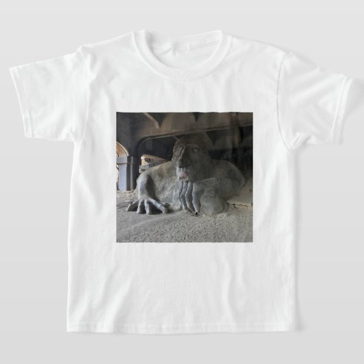 Seattle Fremont Troll #1 T-shirt (Laagn)