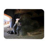 Seattle Fremont Troll #2 Magnet Magneet (Horizontaal)