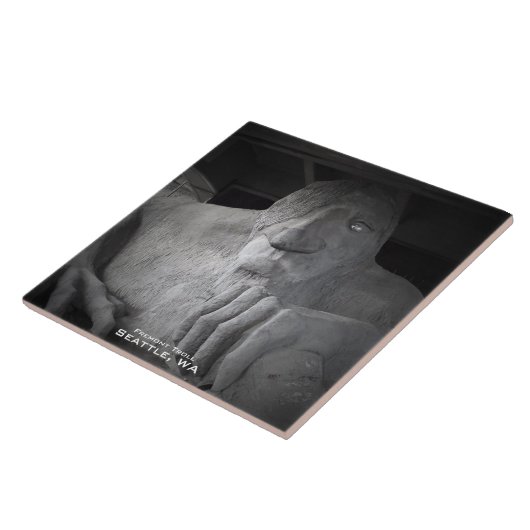 Seattle Fremont Troll Foto Tile Tegeltje (Zijkant)