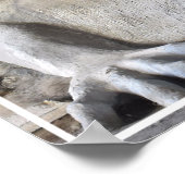 Seattle Fremont Troll Poster (verschillende maten) (Hoek)