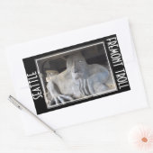 Seattle Fremont Troll Sticker (Envelop)