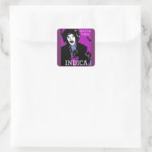 SEATTLE PURPS INDICA VIERKANTE STICKER (Tas)