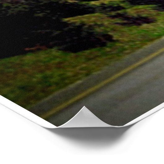 Seattle Rain Print (Hoek)