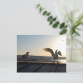 Seattle Seagulls Briefkaart (Staand voorkant)