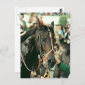 Seattle Slew Thoroughbred 1978 Briefkaart (Voorkant / Achterkant)