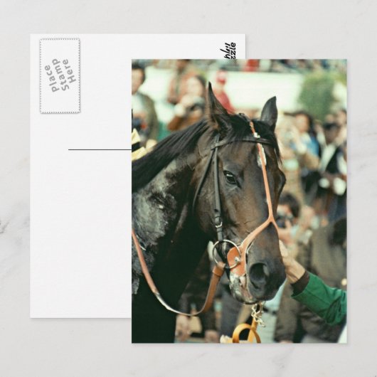 Seattle Slew Thoroughbred 1978 Briefkaart (Voorkant / Achterkant)