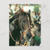 Seattle Slew Thoroughbred 1978 Briefkaart (Voorkant)