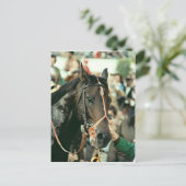 Seattle Slew Thoroughbred 1978 Briefkaart (Staand voorkant)