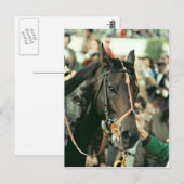 Seattle Slew Thoroughbred 1978 Briefkaart (Voorkant / Achterkant)