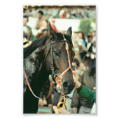 Seattle Slew Thoroughbred 1978 Foto Afdruk (Voorkant)