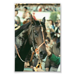 Seattle Slew Thoroughbred 1978 Foto Afdruk