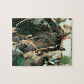 Seattle Slew Thoroughbred 1978 Legpuzzel (Horizontaal)