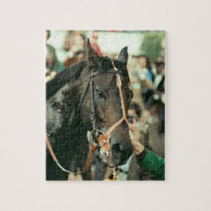Seattle Slew Thoroughbred 1978 Legpuzzel