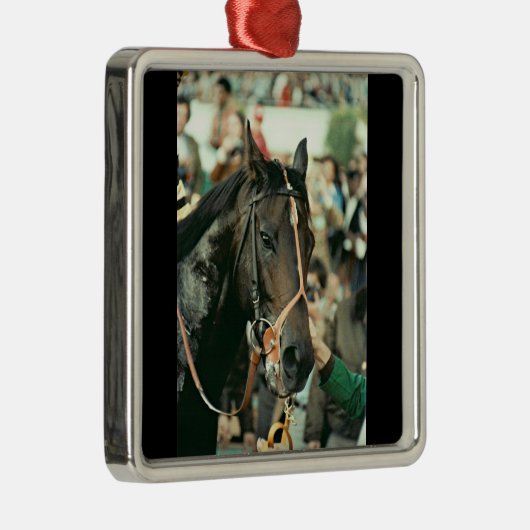 Seattle Slew Thoroughbred 1978 Metalen Ornament (Rechts)