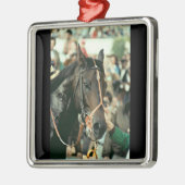 Seattle Slew Thoroughbred 1978 Metalen Ornament (Links)