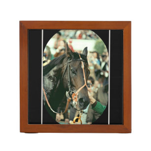 Seattle Slew Thoroughbred 1978 Pennenhouder