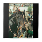 Seattle Slew Thoroughbred 1978 Tegeltje (Voorkant)