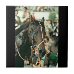Seattle Slew Thoroughbred 1978 Tegeltje