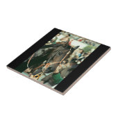 Seattle Slew Thoroughbred 1978 Tegeltje (Zijkant)