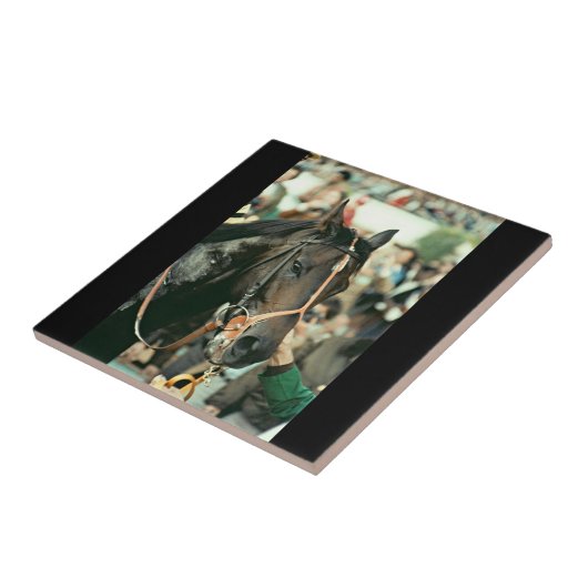 Seattle Slew Thoroughbred 1978 Tegeltje (Zijkant)