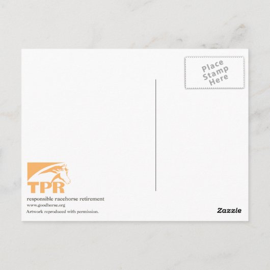 Seattle Slew van Susan Pelisek Kolberg Briefkaart (Achterkant)