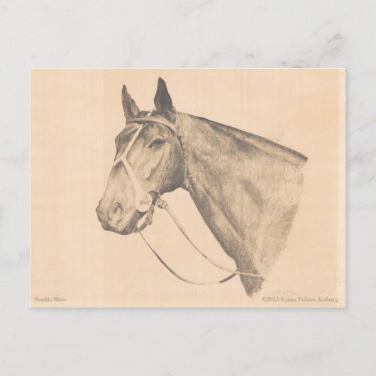 Seattle Slew van Susan Pelisek Kolberg Briefkaart (Voorkant)