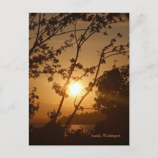 Seattle Sunset Briefkaart (Voorkant)