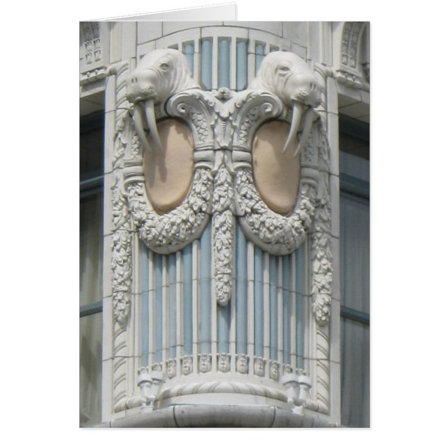 Seattle Walrus (Voorkant)