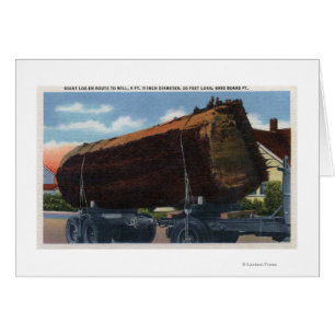 Seattle, Washington Giant Log en route naar Mill