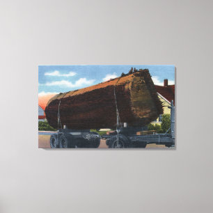 Seattle, Washington Giant Log en route naar Mill Canvas Afdruk