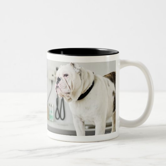 Seattle, Washington, Verenigde Staten Tweekleurige Koffiemok (Rechts)