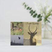 Seattle Wildlife Briefkaart (Staand voorkant)