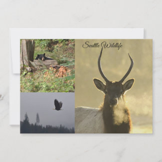 Seattle Wildlife Kaart