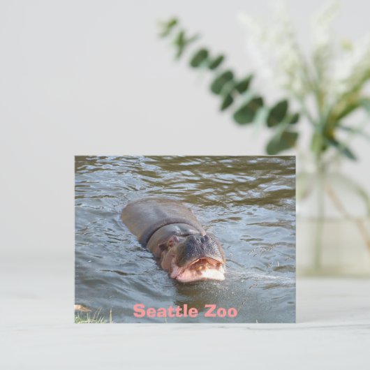 Seattle Zoo Briefkaart (Staand voorkant)