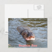 Seattle Zoo Briefkaart (Voorkant / Achterkant)