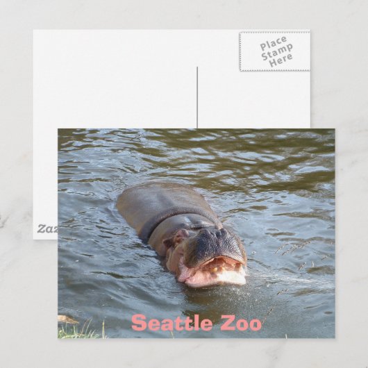 Seattle Zoo Briefkaart (Voorkant / Achterkant)