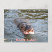 Seattle Zoo Briefkaart (Voorkant)