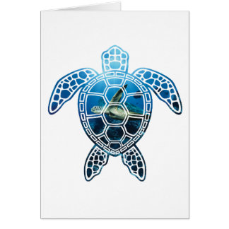 seaturtle-2