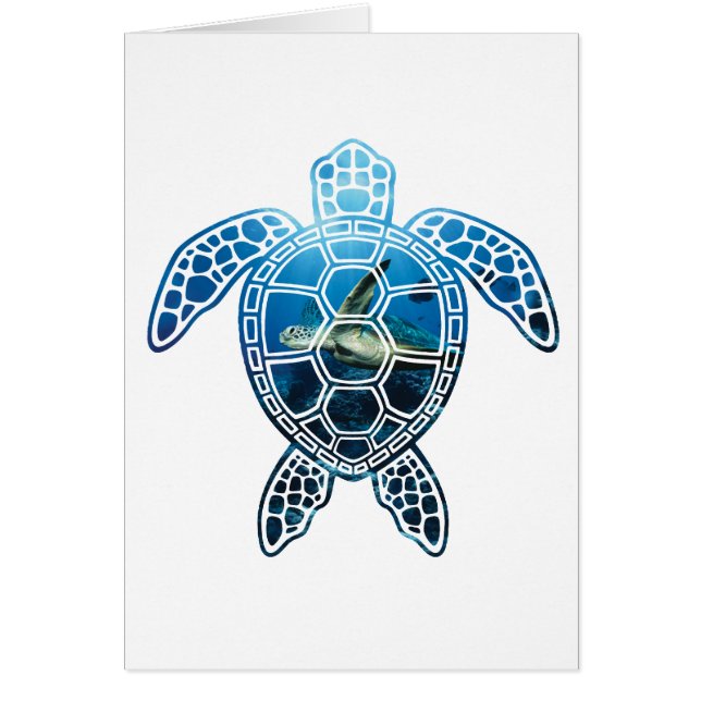 seaturtle-2 (Voorkant)