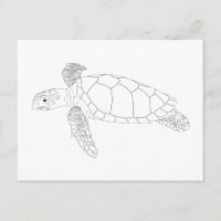 Seaturtle Adult Coloring Briefkaart