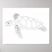 Seaturtle Adult Coloring Poster (Voorkant)